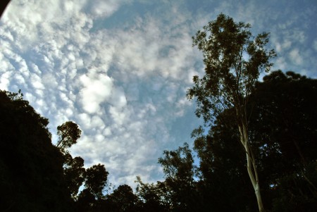 TOUCH THE SKY