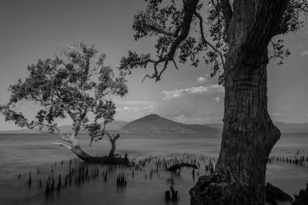 BW Scenery