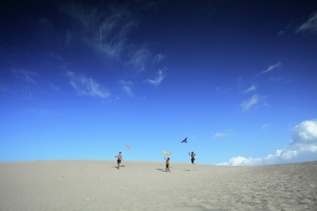 Playing Kites