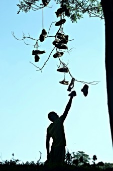 the shoe