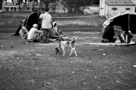 Lifestyle of snake charmers