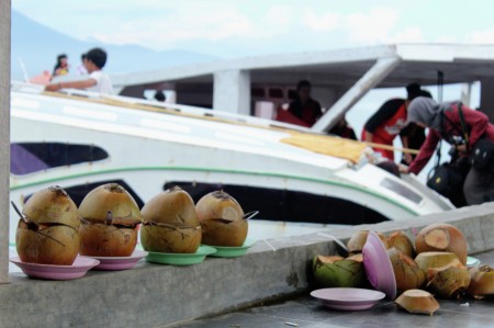 Kelapa muda