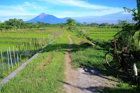THE ROAD TO MERAPI