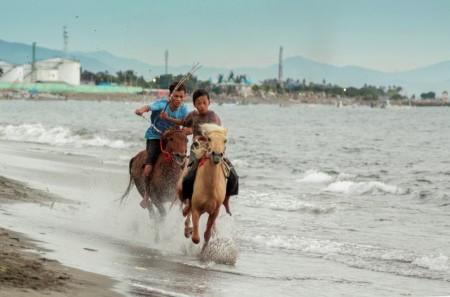 Drag Horse