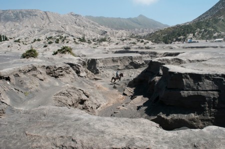 Horse Rider in Tengger