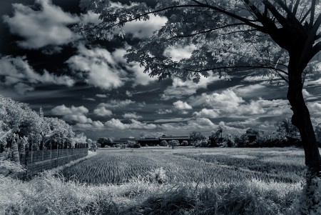 FARMVILLE