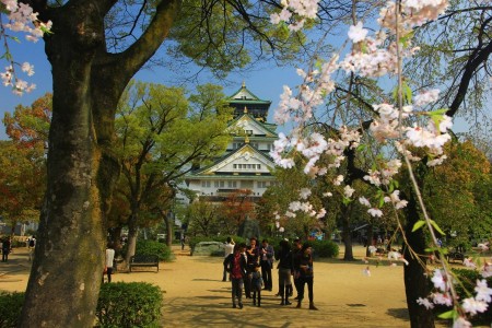 Osaka Castle Before Sakura