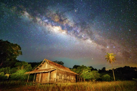 Amazing Stars
