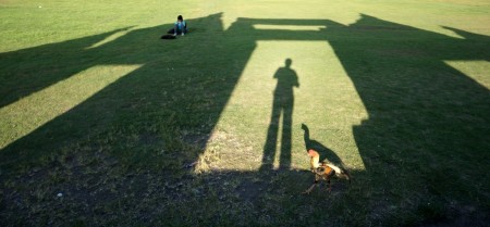 me and chicken