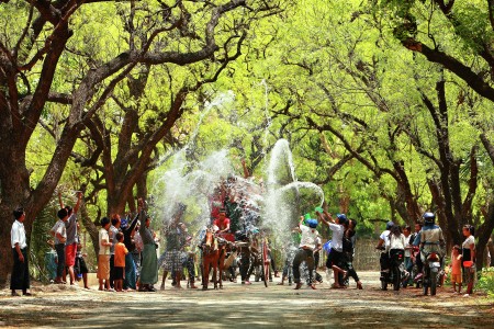 Water Festival
