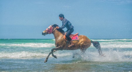 Along the waves