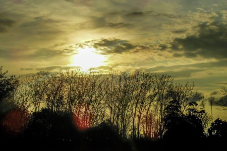 Silhouette of Moyo