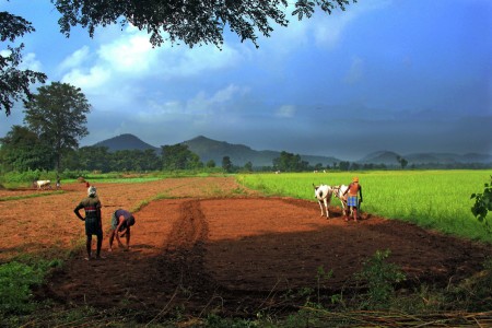 Farmers Land