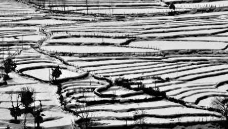 RICE TERRACES