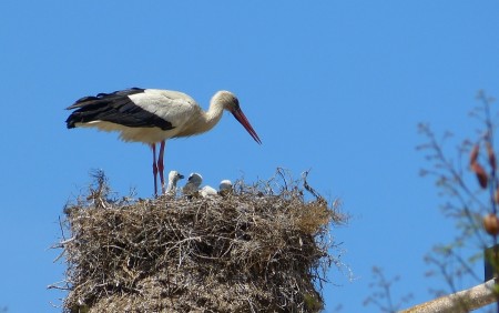 Every Day is Mother's Day!