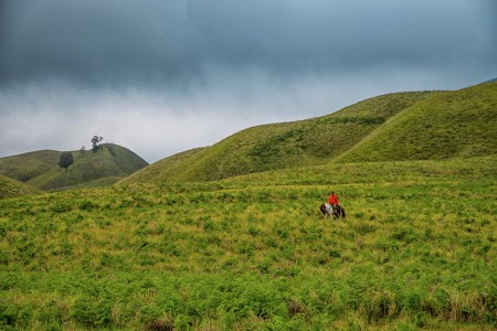 Tengger-man on horse