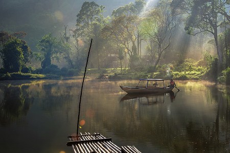 Kabut Pagi