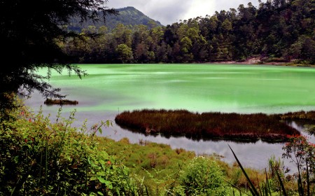 Color of Nature