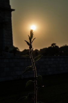 Light
