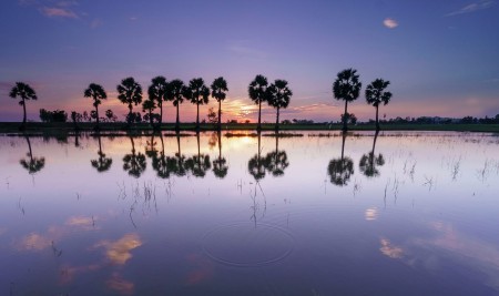 Reflection