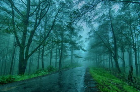 Empty Way