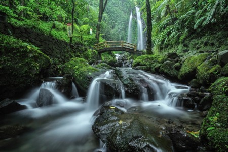 Hidden Paradise