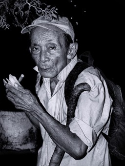 frog toy seller