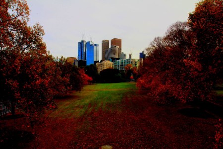 Autumn in Melbourne