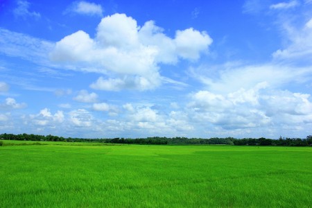 Nature and Agriculture