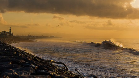 Windy Morning