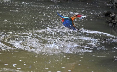 Fishing-Fisher.