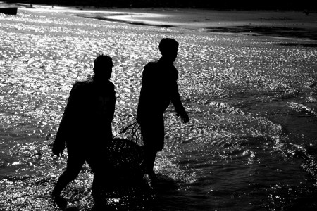 Untill dusk for a living