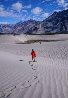 The Follower