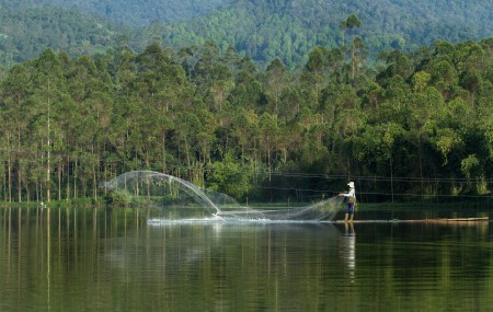 Menjala Ikan