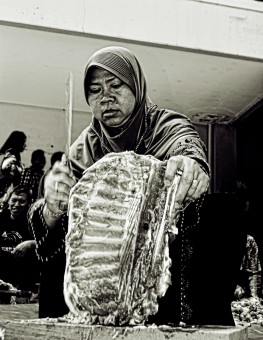 pemotong tulang rusuk