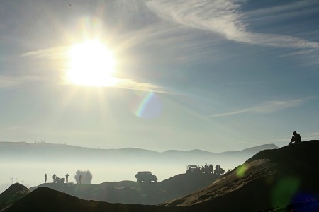 MORNING SUNSHINE