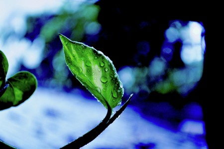 A rainy day