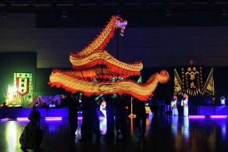 2014 Luminous Dragon Dance
