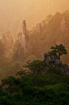 Morning light