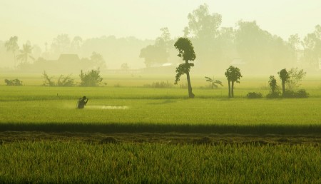 Bá»¨C TRANH QUÃŠ