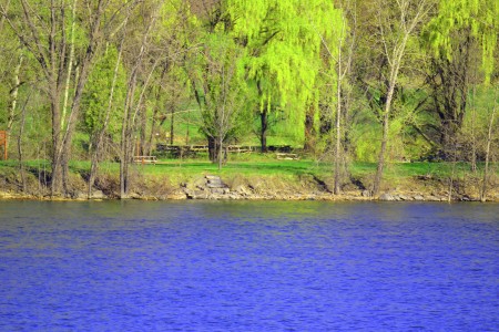 beside the water