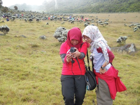Busily Taking Picture