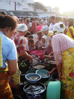 Fish Market