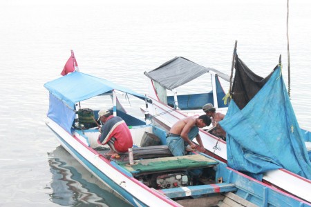 Sama-sama kerja