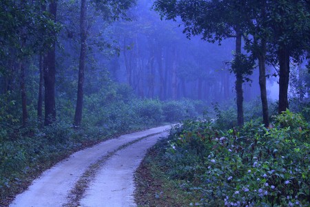 Misty Way