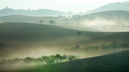 The morning