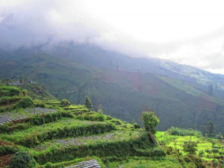 alamku berselimut kabut