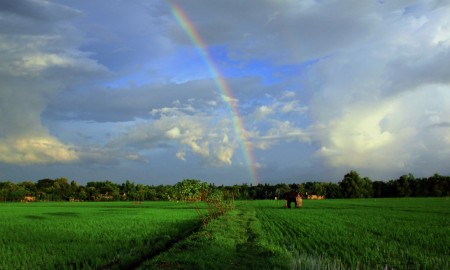 Pelangi Sore
