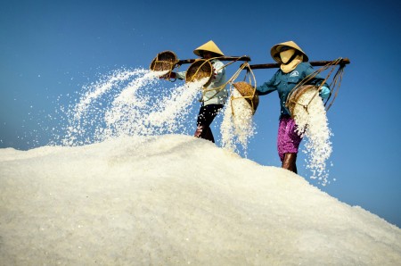 Flower of Salt