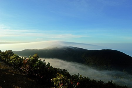 Fog Suryakencana